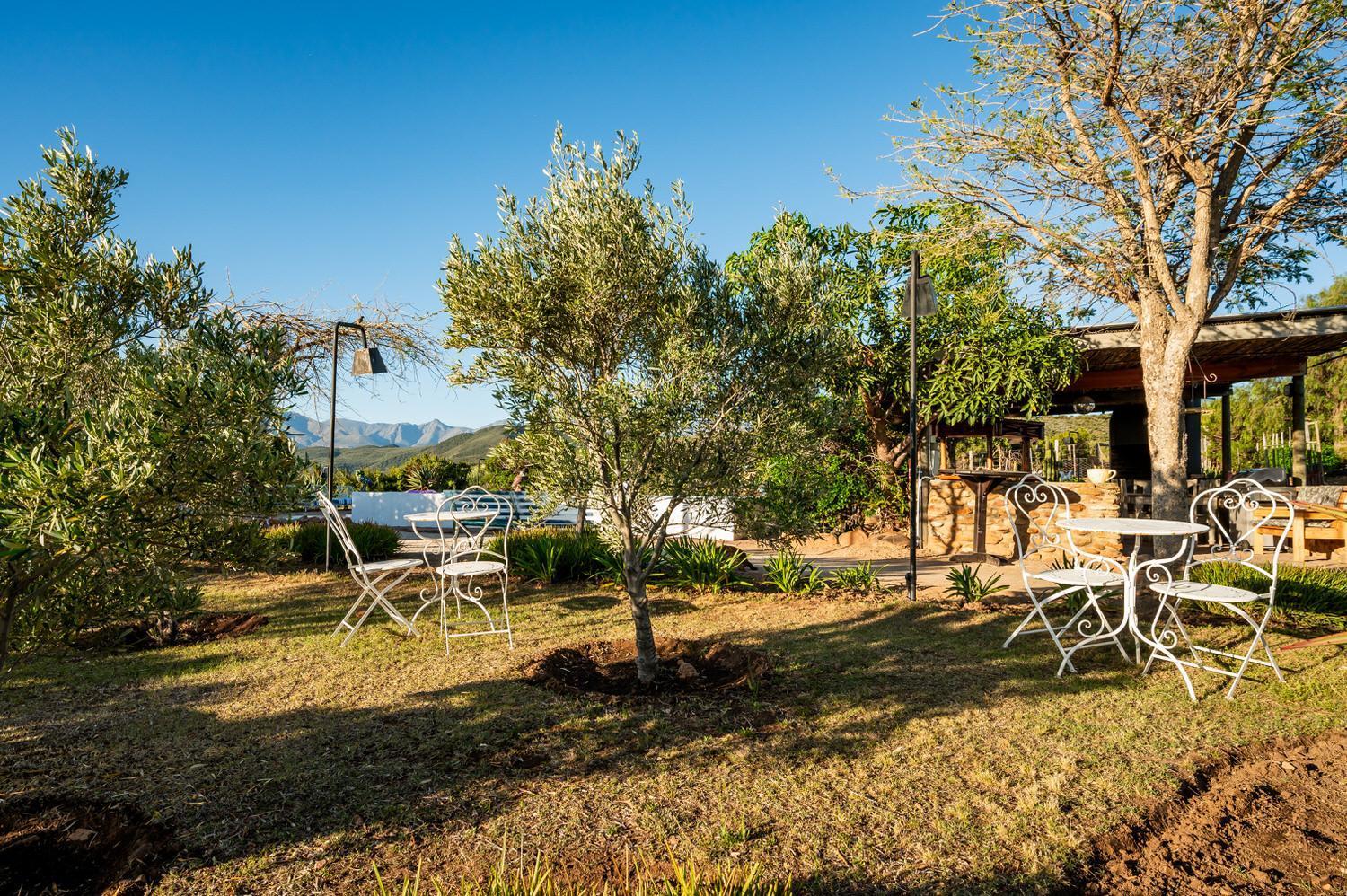 Le Petit Karoo Ranch Bed & Breakfast Oudtshoorn Exterior photo