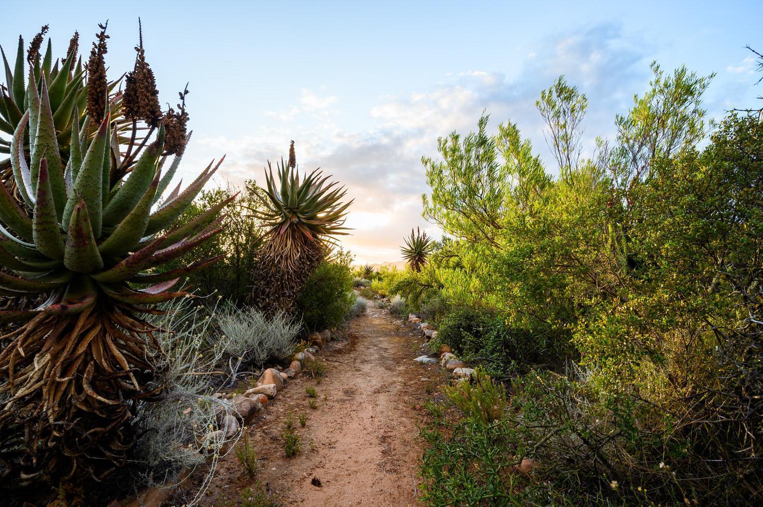 Le Petit Karoo Ranch Bed & Breakfast Oudtshoorn Exterior photo