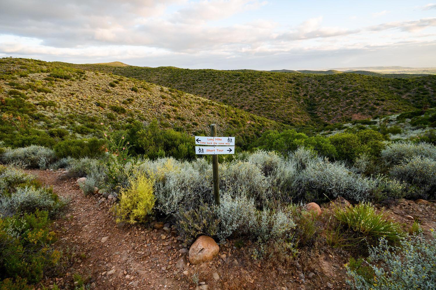 Le Petit Karoo Ranch Bed & Breakfast Oudtshoorn Exterior photo