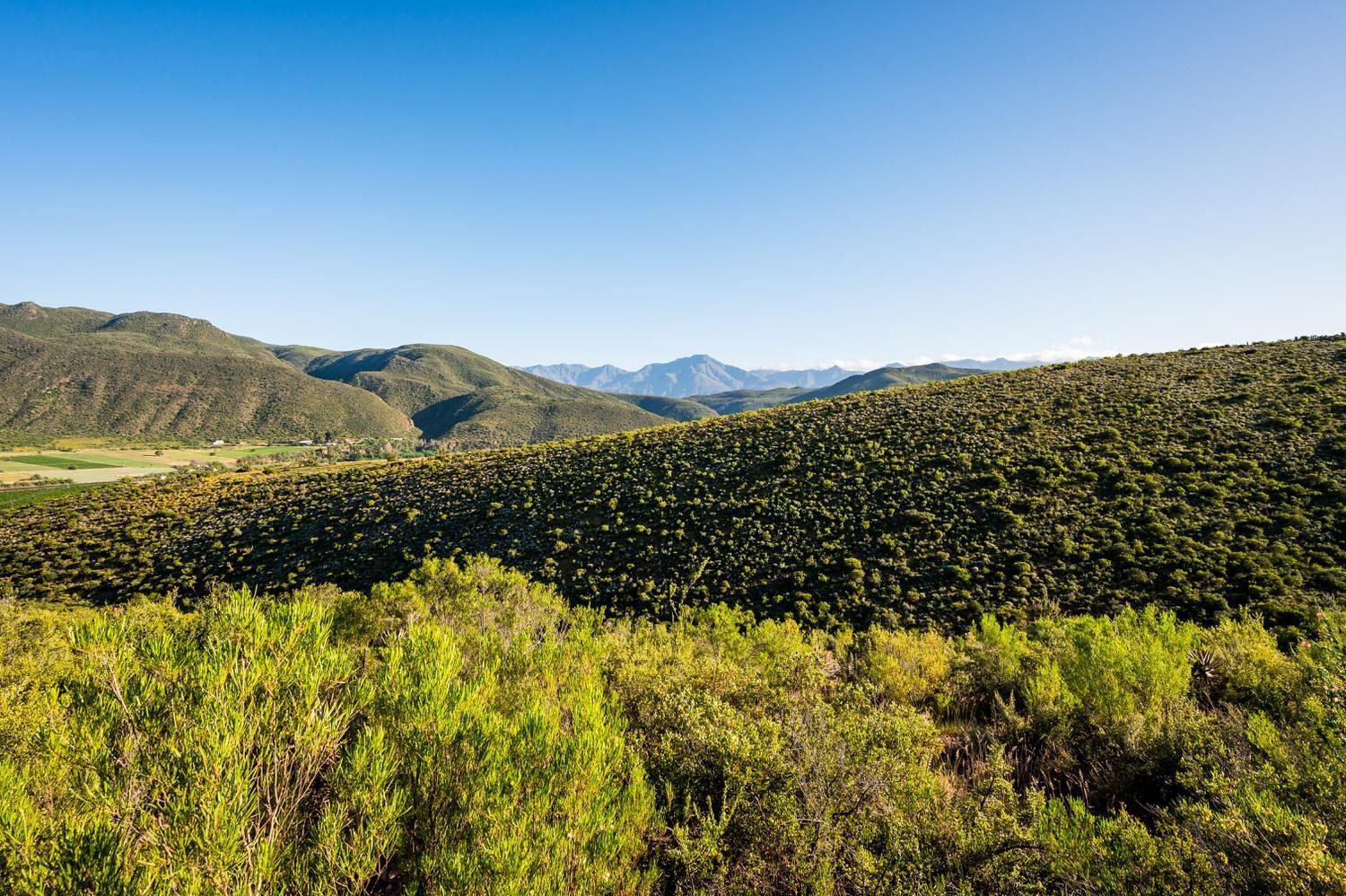 Le Petit Karoo Ranch Bed & Breakfast Oudtshoorn Exterior photo
