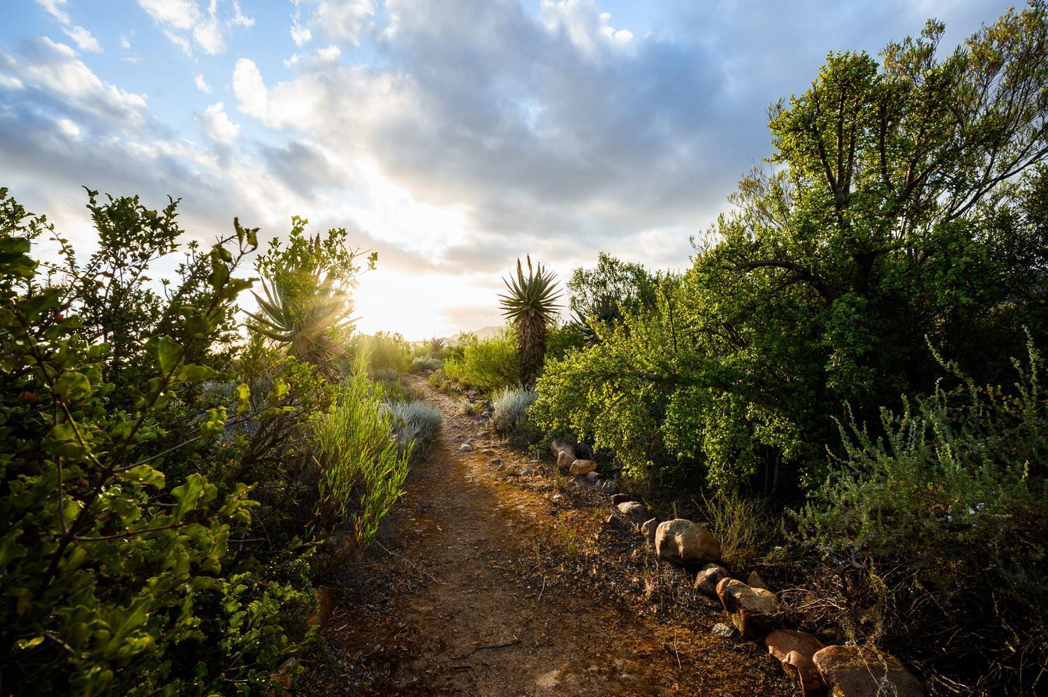 Le Petit Karoo Ranch Bed & Breakfast Oudtshoorn Exterior photo