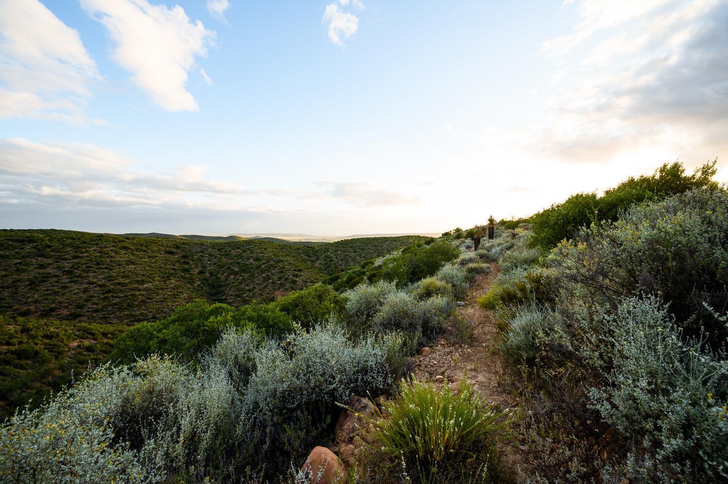 Le Petit Karoo Ranch Bed & Breakfast Oudtshoorn Exterior photo