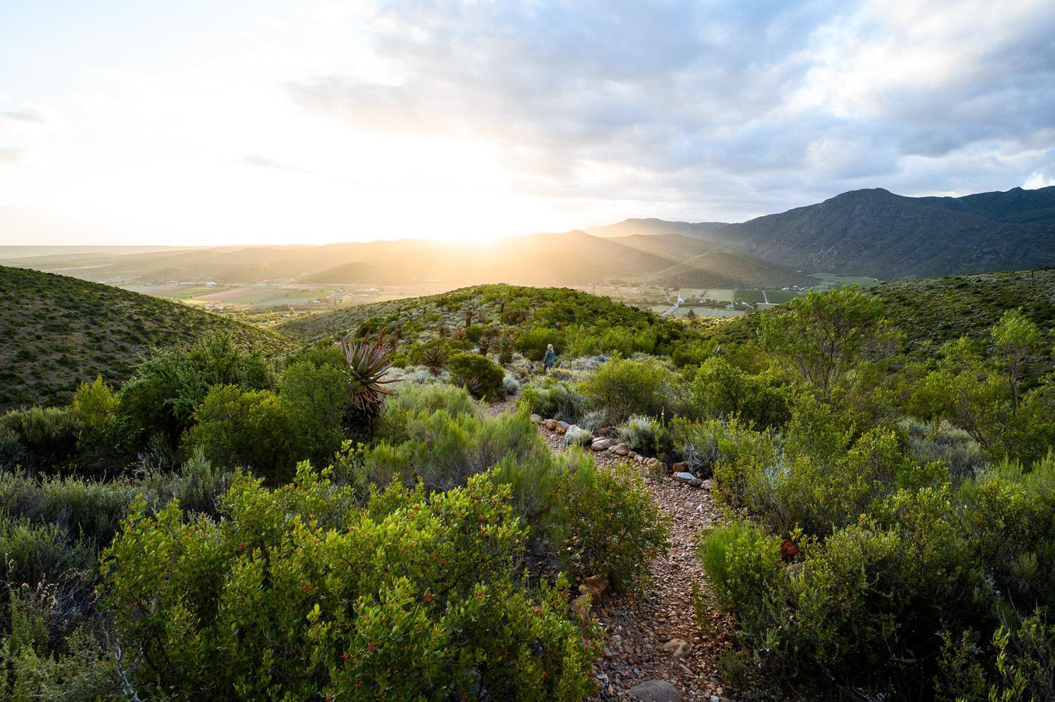Le Petit Karoo Ranch Bed & Breakfast Oudtshoorn Exterior photo