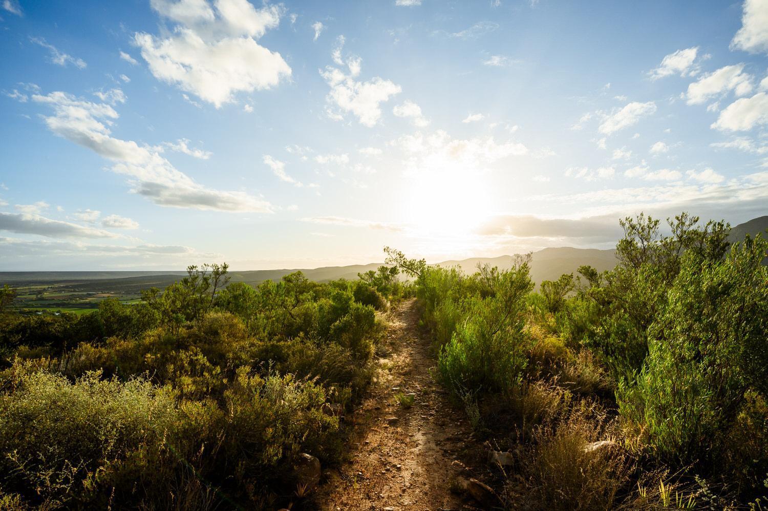 Le Petit Karoo Ranch Bed & Breakfast Oudtshoorn Exterior photo
