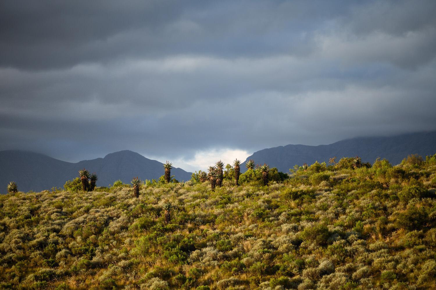Le Petit Karoo Ranch Bed & Breakfast Oudtshoorn Exterior photo